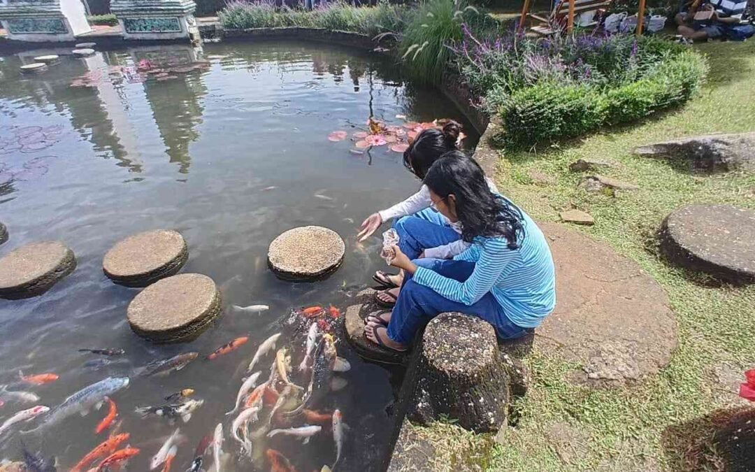Mengawali tahun baru 2026 bersama keluarga di Nirvana Valley Resort Bogor