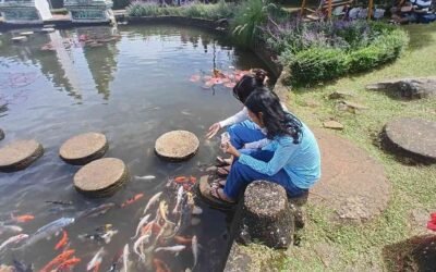 Mengawali tahun baru 2026 bersama keluarga di Nirvana Valley Resort Bogor