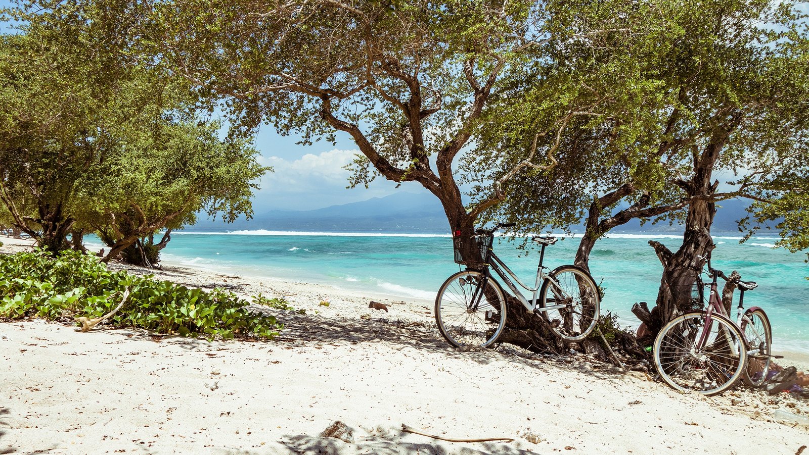beach-sea-coast-tree-water-nature-sand-sun-shore-lake-bike-vacation-travel-holiday-bay-island-asia-body-of-water-white-sand-trees-turquoise-bicycles-exotic-indonesia-islands-bali-1279314.jpg